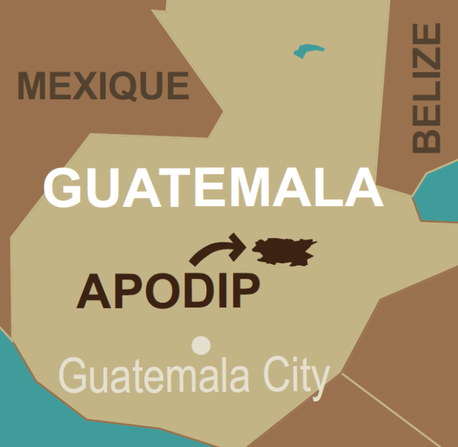 APODIP guatemala